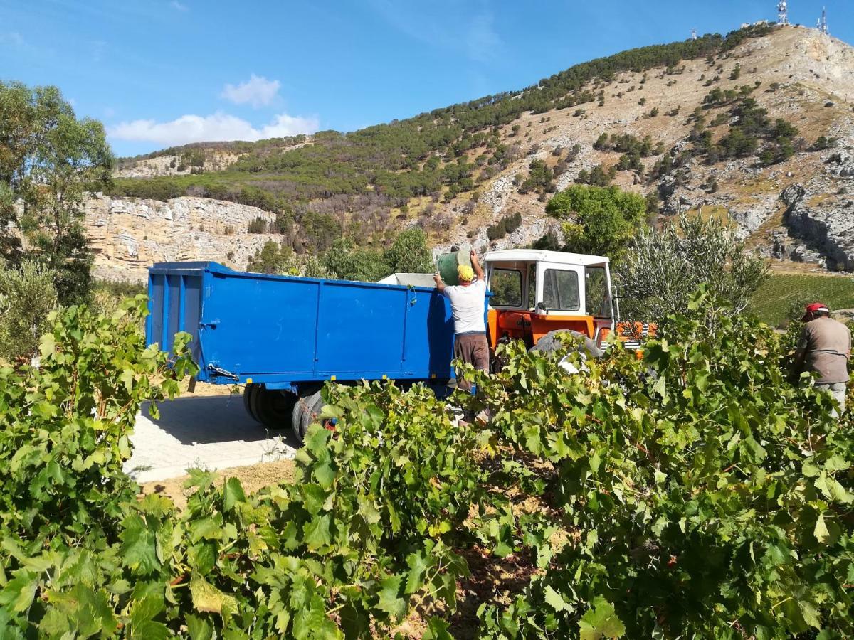 Villa Bonifato Vista Sulle Campagne E Sul Mare Siciliano Cozy House Italy Alcamo Kültér fotó